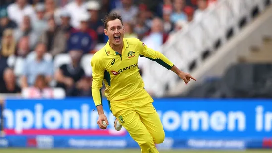 Marnus Labuschagne's latest social media post adds insult to injury for India